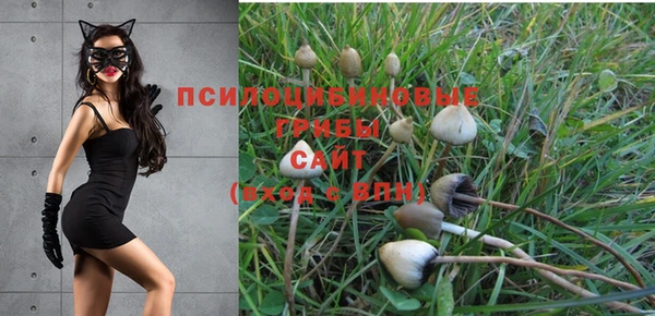 амфетамин Алексеевка