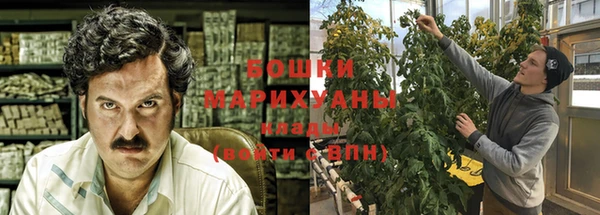 дурь Алзамай