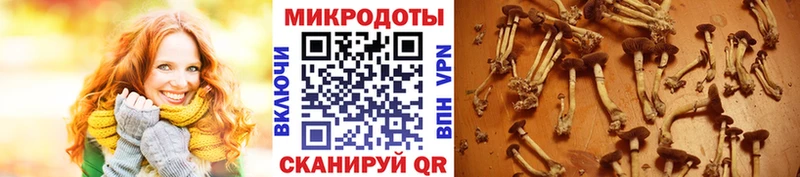 Псилоцибиновые грибы мухоморы  сколько стоит  Комсомольск 